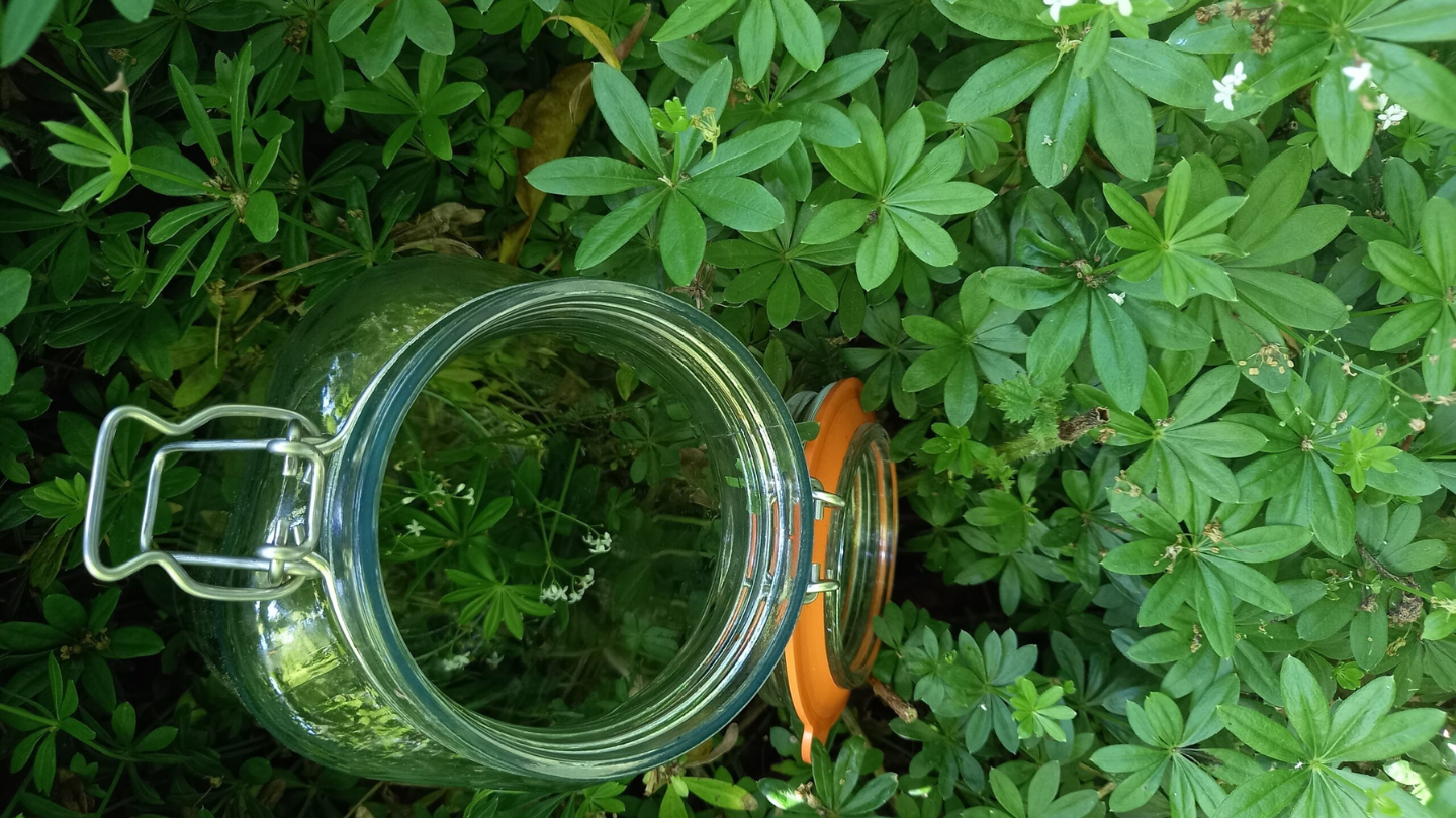Wild Pickle - Events