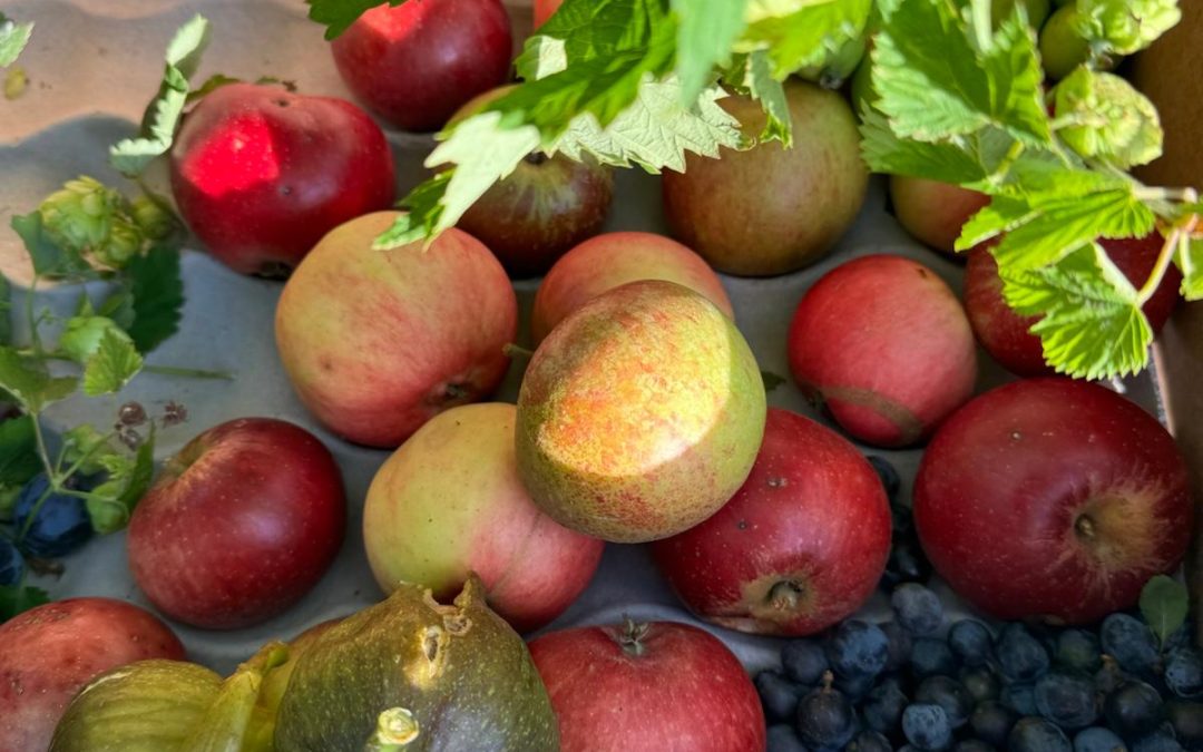 Autumn fermented chutney workshop, Bare Health, Congleton