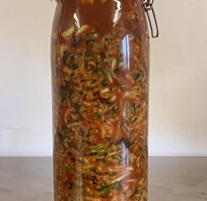Chickweed, Sorrel, Mint and Ancho Chilli Sauerkraut