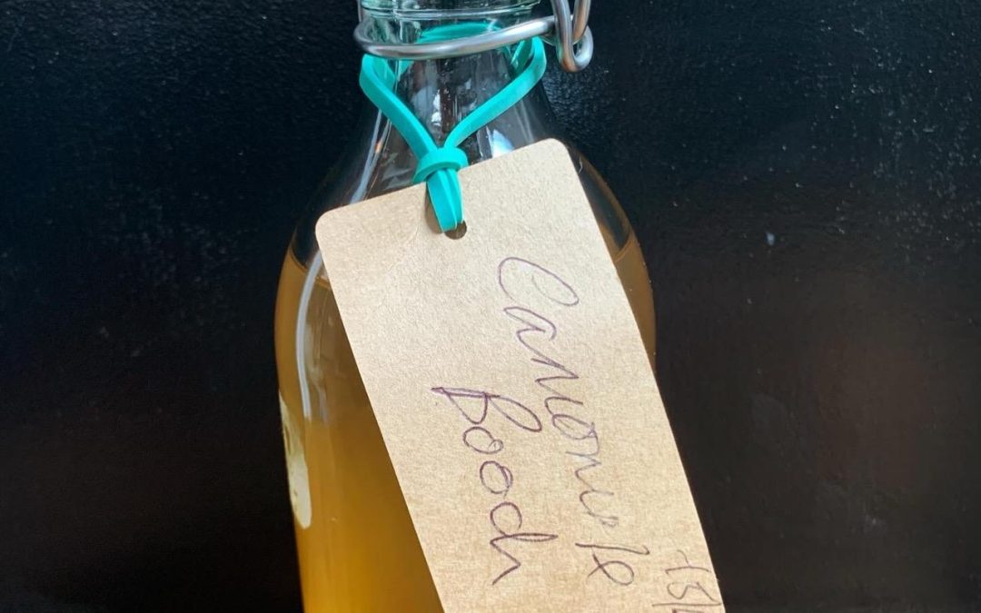 Cold Brewed Camomile Kombucha